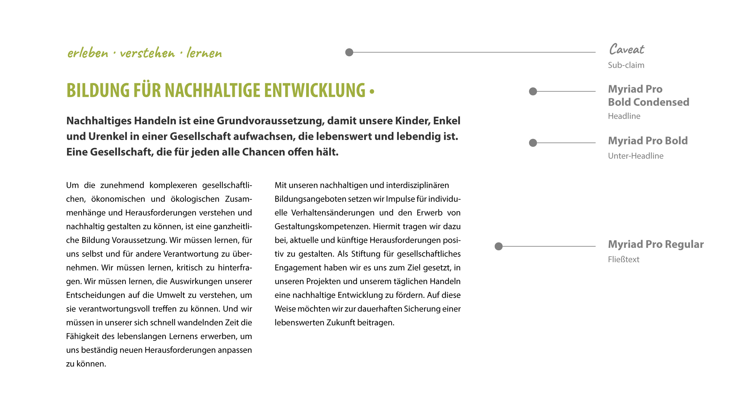 DKB Stiftung, Typografie