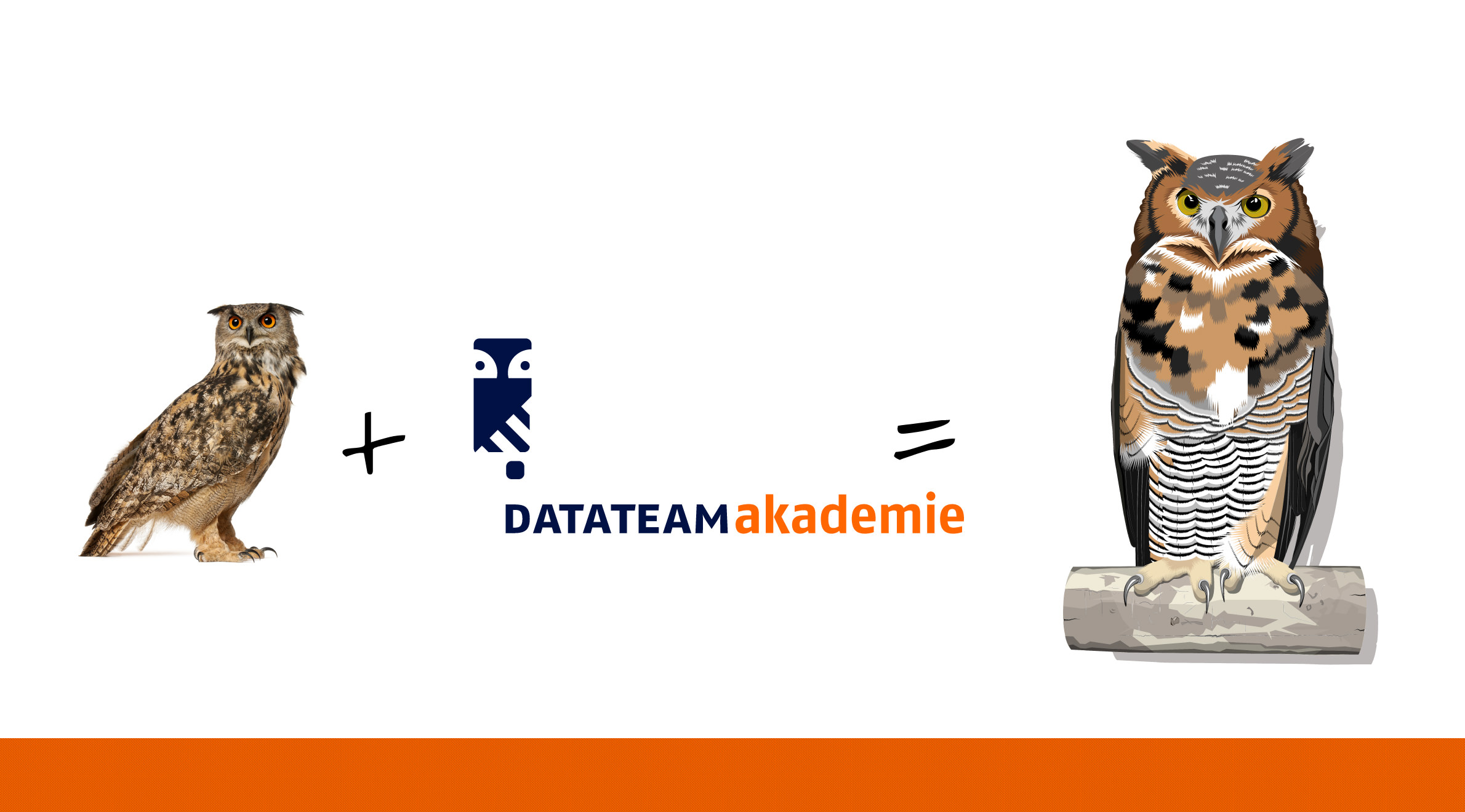 DATAteam GmbH, Key Visual