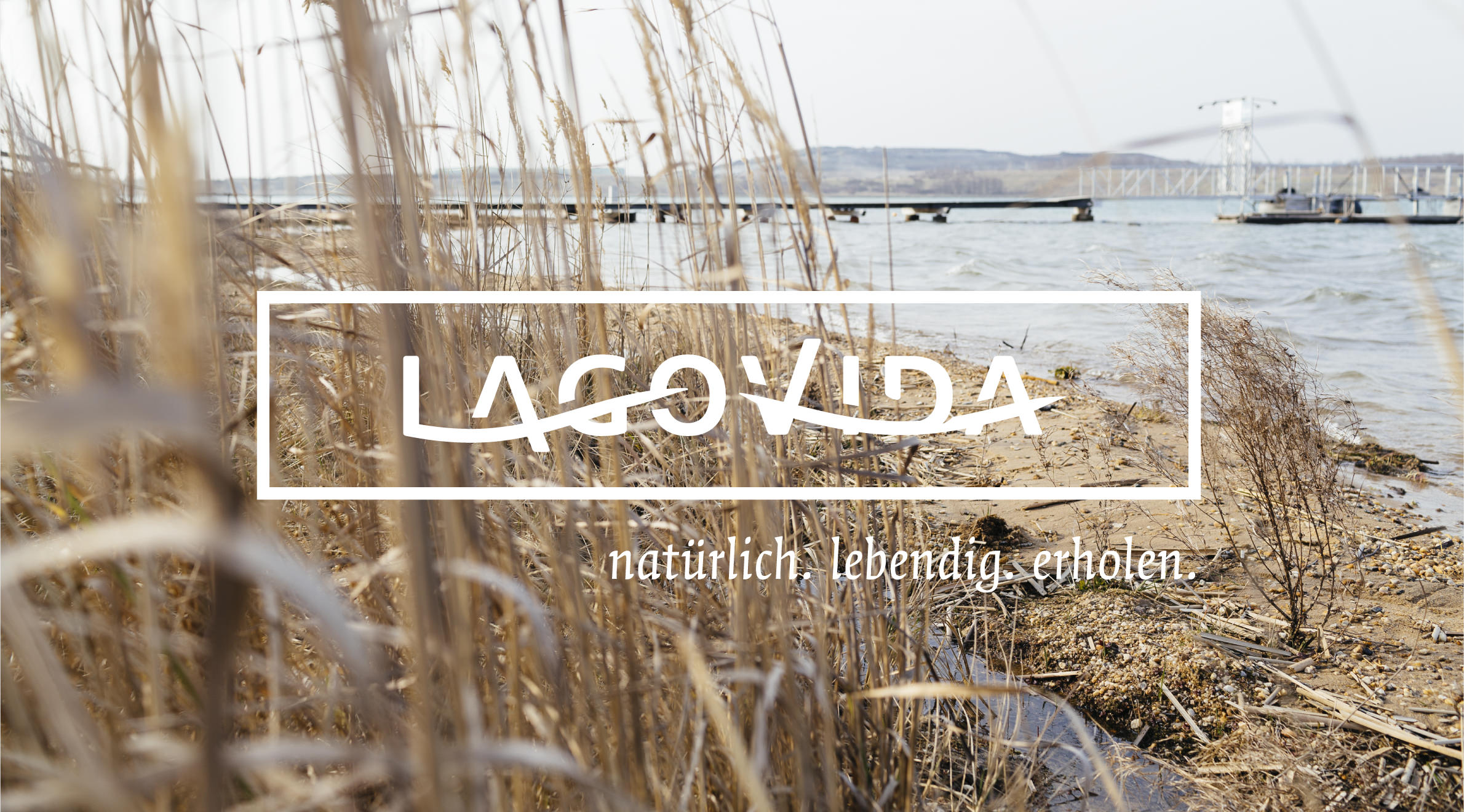 Lagovida, Logo