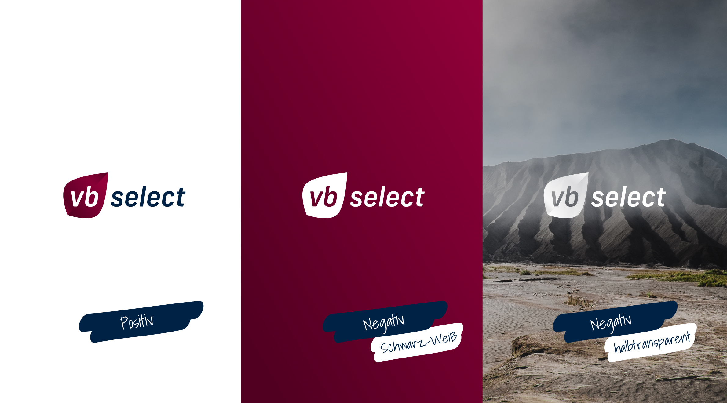 VB Select AG, Logo - Varianten