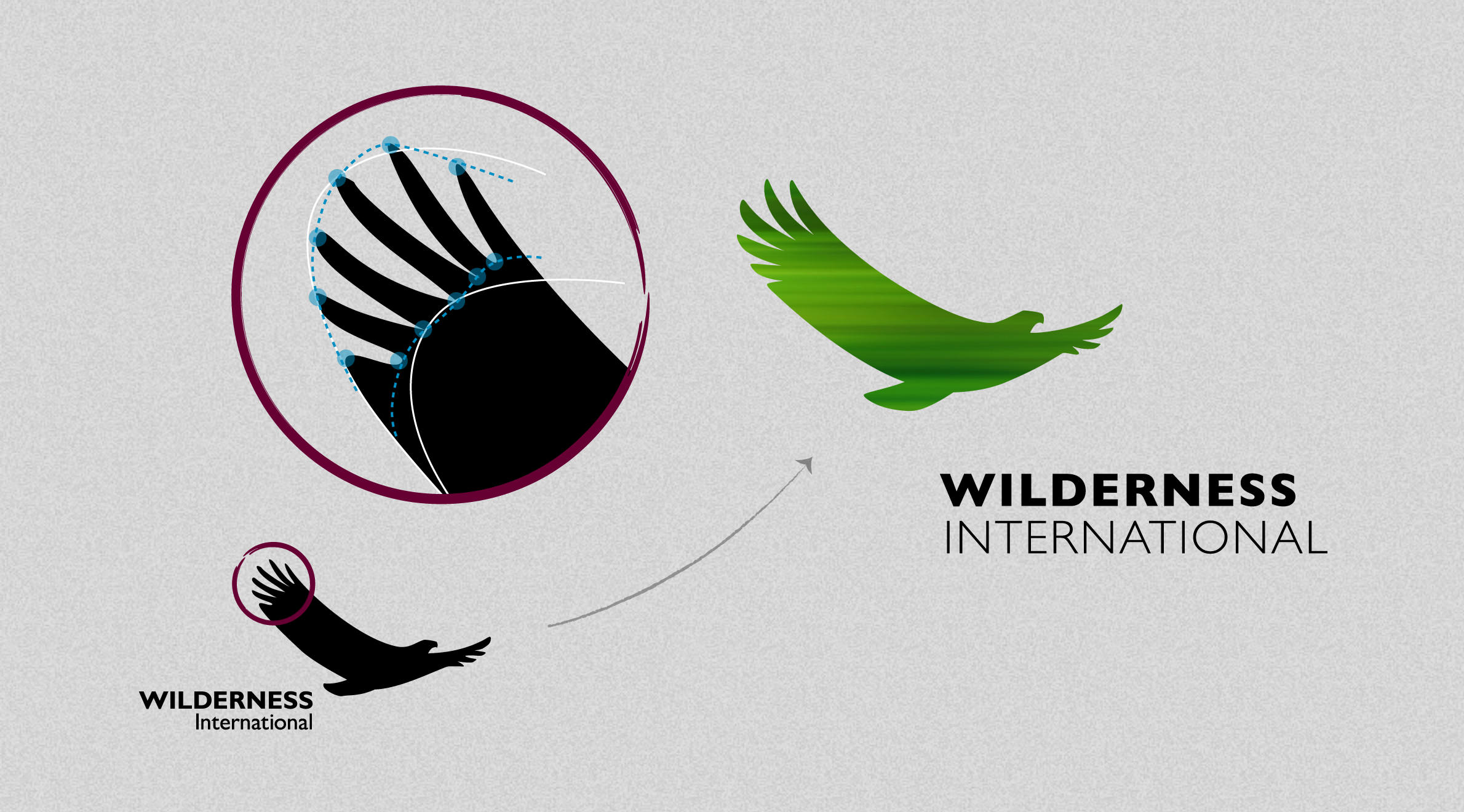 Wilderness International, Logo - Relaunch | Wortmarke